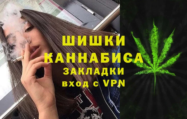 соль ск Новозыбков
