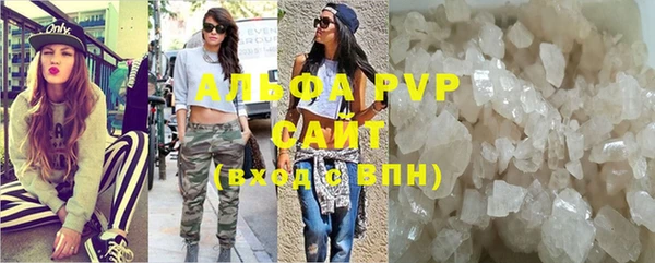 соль ск Новозыбков