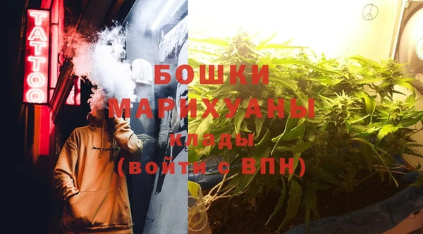 соль ск Новозыбков