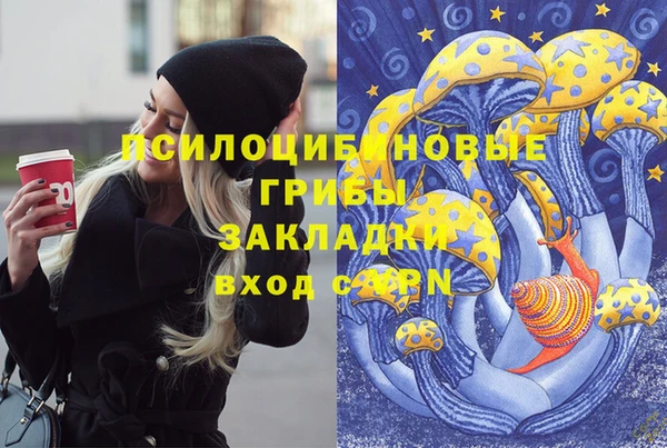 соль ск Новозыбков