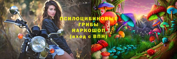 соль ск Новозыбков