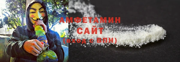 соль ск Новозыбков
