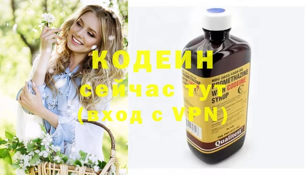 хмурый Пересвет