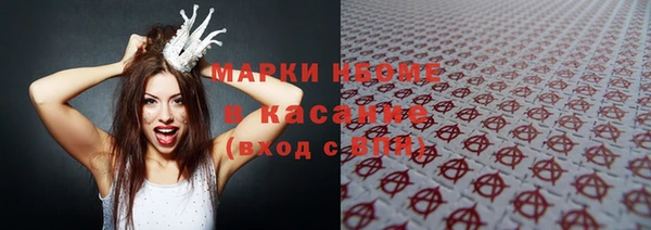 соль ск Новозыбков