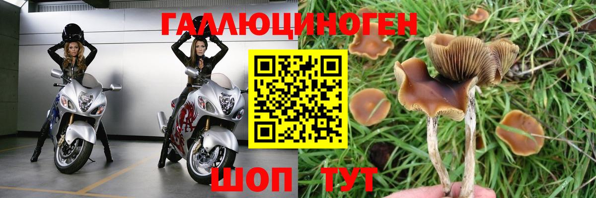 Кстово  Псилоцибиновые грибы MAGIC MUSHROOMS  Вход с VPN 